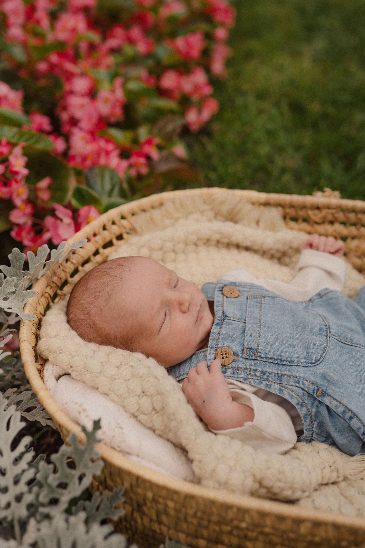 Sleeping baby in denim overalls rests peacefully in a woven basket with pink flowers in background.