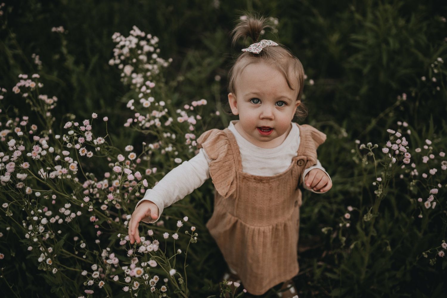 Happy toddler in tan pinafore dress plays among blooming wildflowers.
