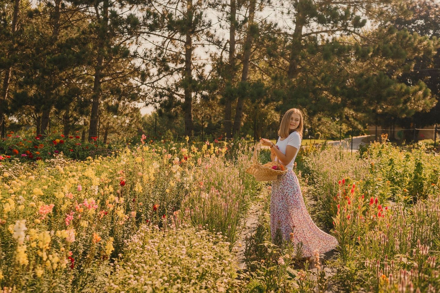 Woman in flowing dress twirls through golden meadow of wildflowers at sunset.