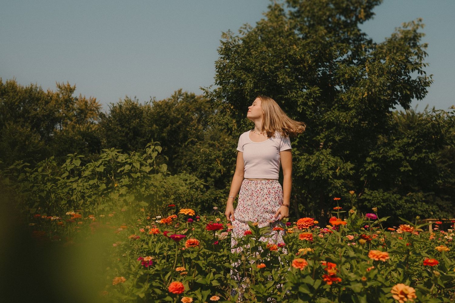 Person stands among blooming orange zinnias in a lush summer garden with trees in background.