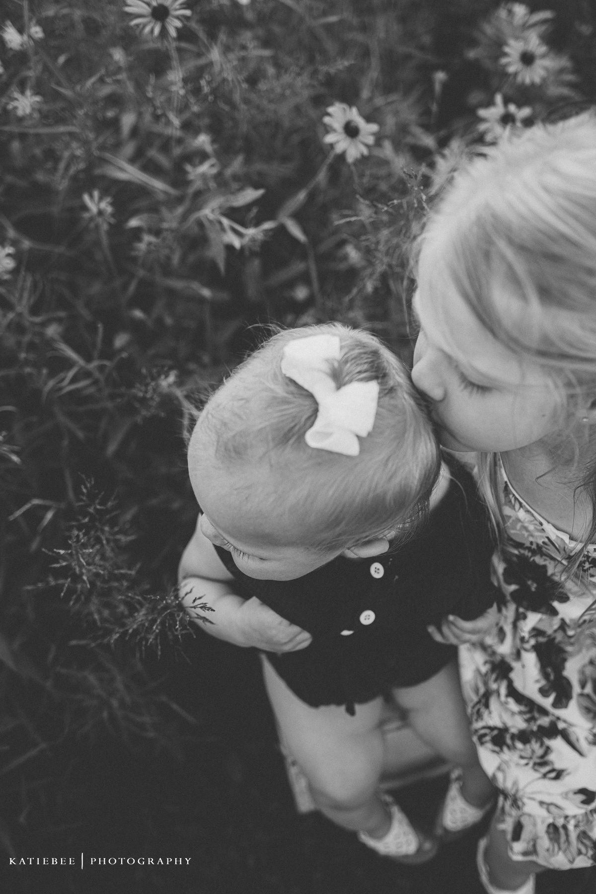 Black and white overhead view of tender moment amid blooming daisies in a garden.