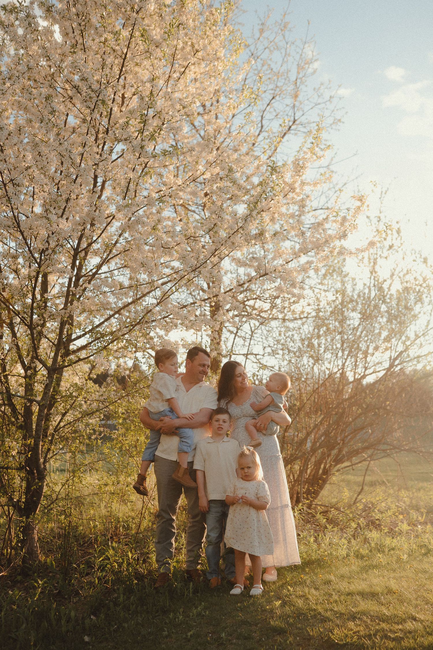 Family of five posing under blooming white spring tree in golden sunset light, parents holding young children outdoors.