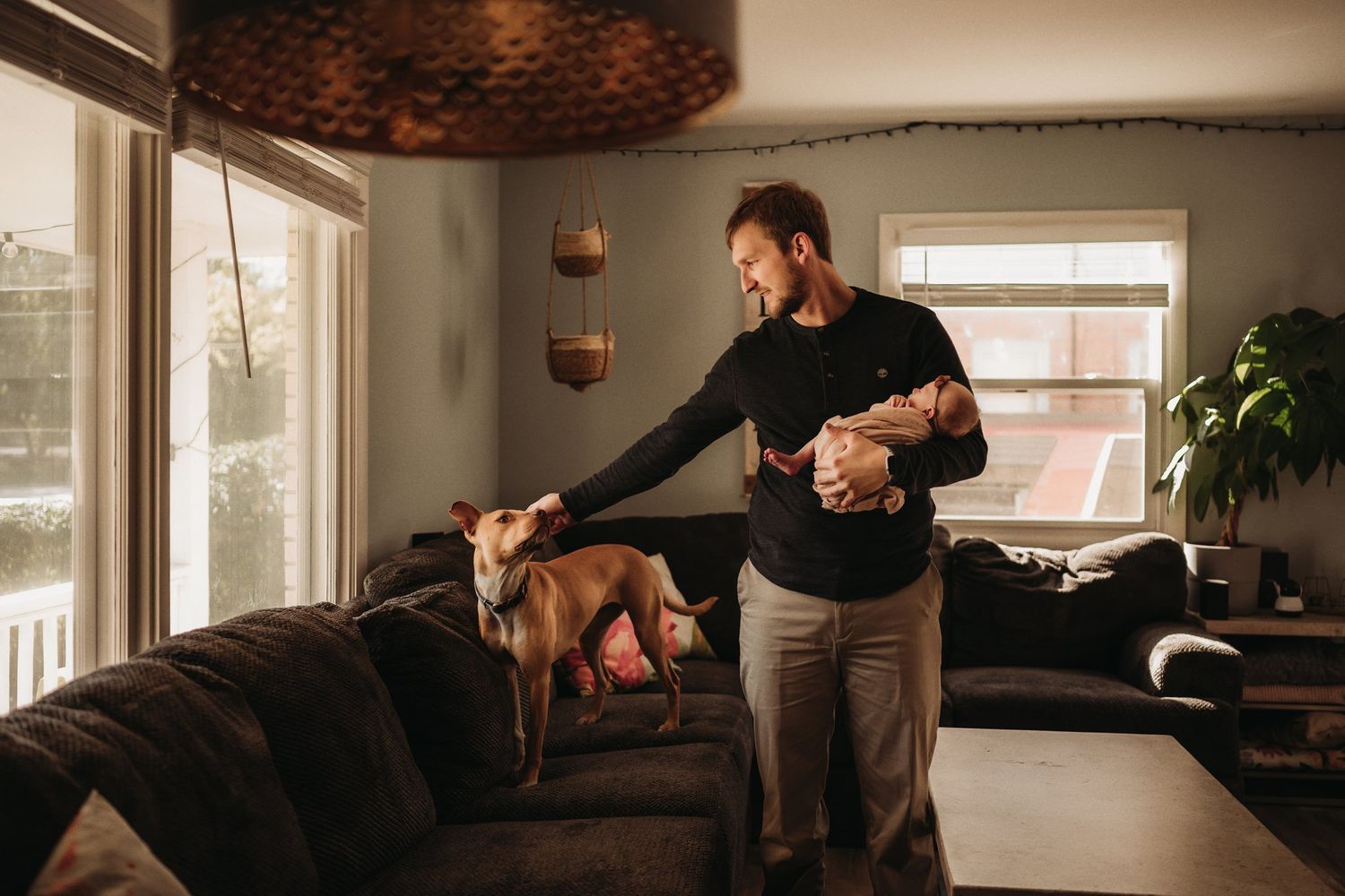 A touching scene of holding a baby while petting a brown dog on a dark couch.