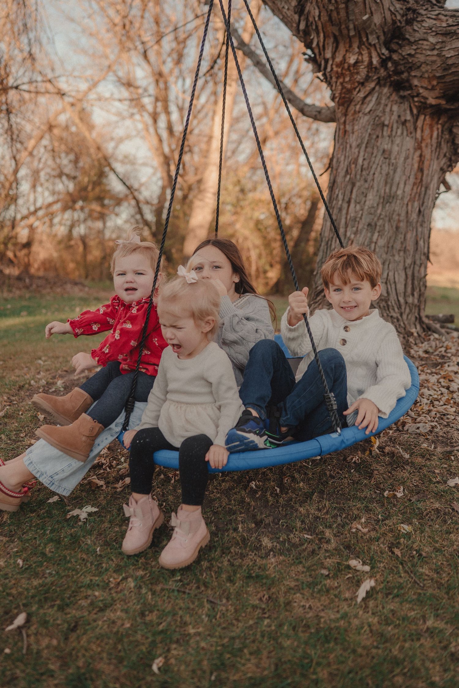 Children playing on a tree swing during an autumn afternoon.