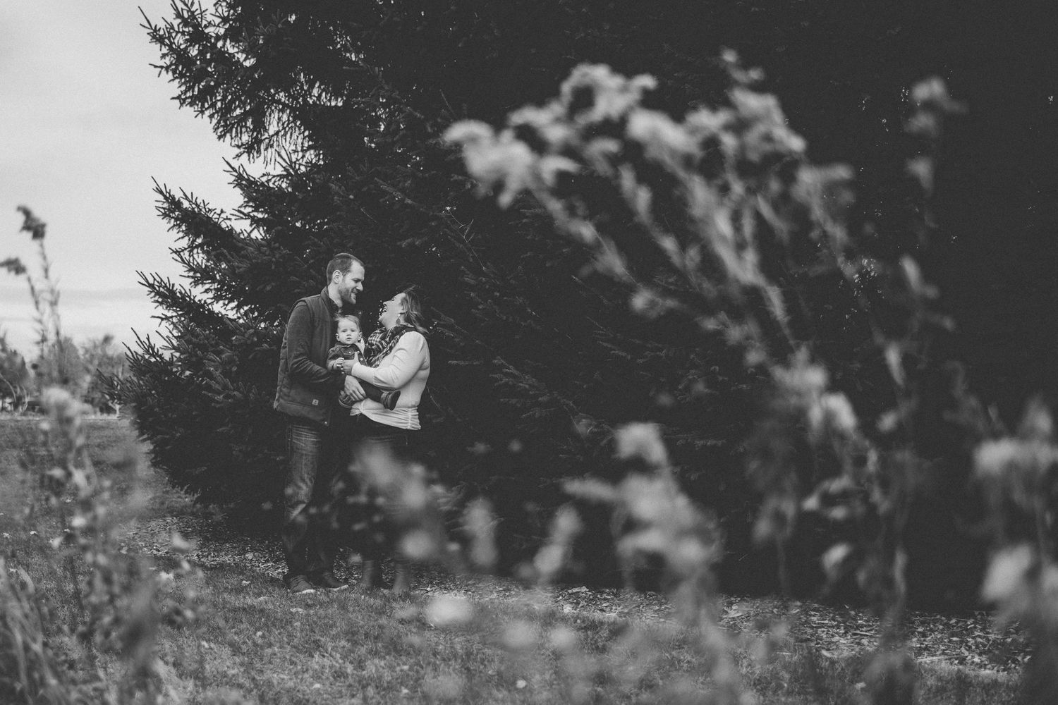 Artistic black and white silhouette of family embracing among evergreen trees and wildflowers.