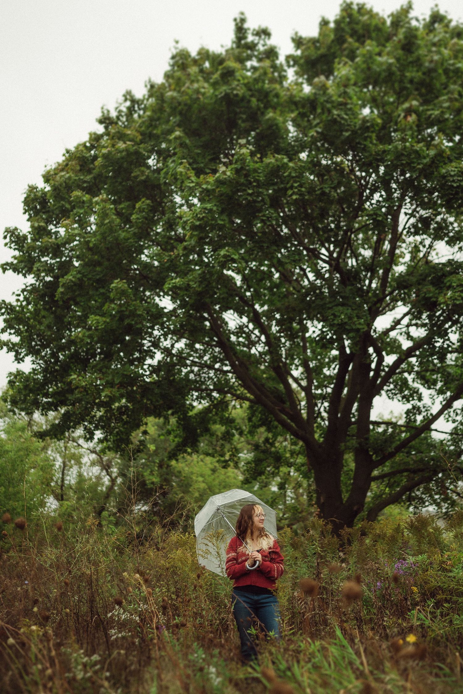 Figure holding a clear umbrella stands beneath a large tree in an overgrown field.