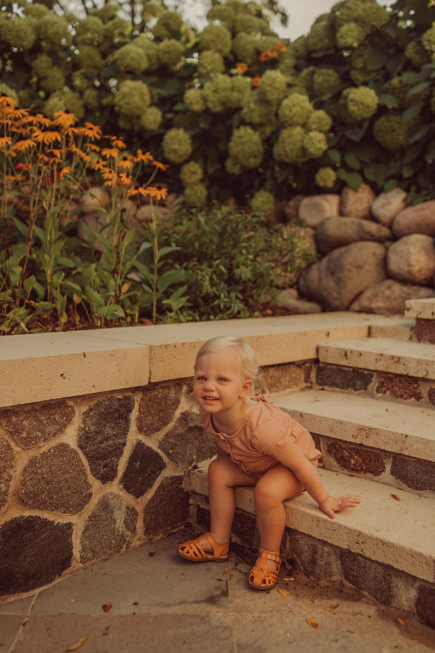 Garden scene at golden hour with stone steps, hydrangeas, and orange wildflowers.