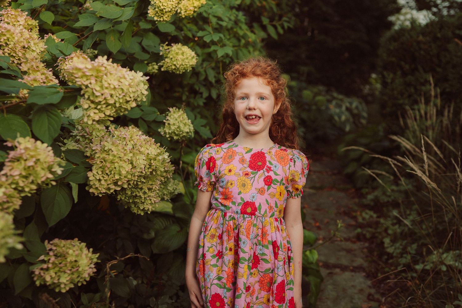 A child in a floral dress stands near blooming hydrangea bushes in a garden.