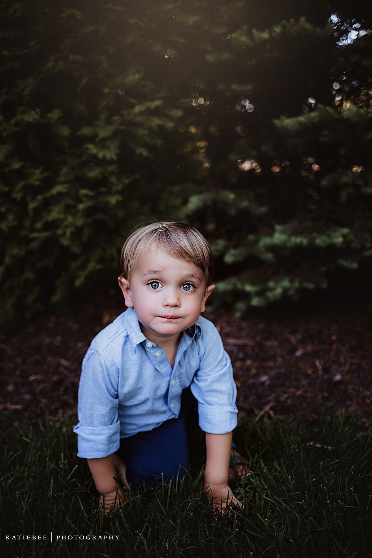 Child in a light blue button-down shirt crouches in grass with evergreen trees in background during golden hour.
