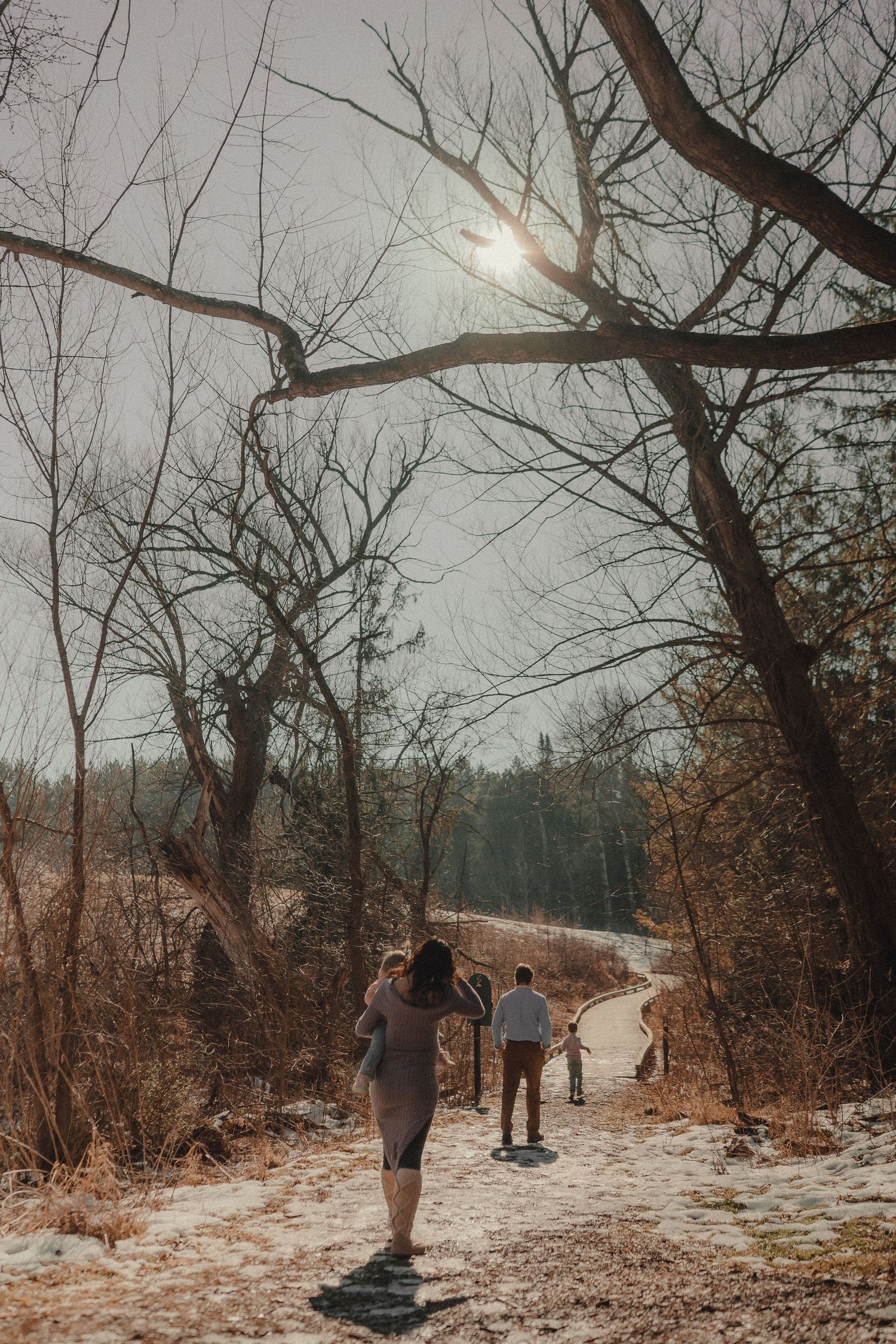 A winter walk through a snowy landscape with bare trees and golden sunlight.