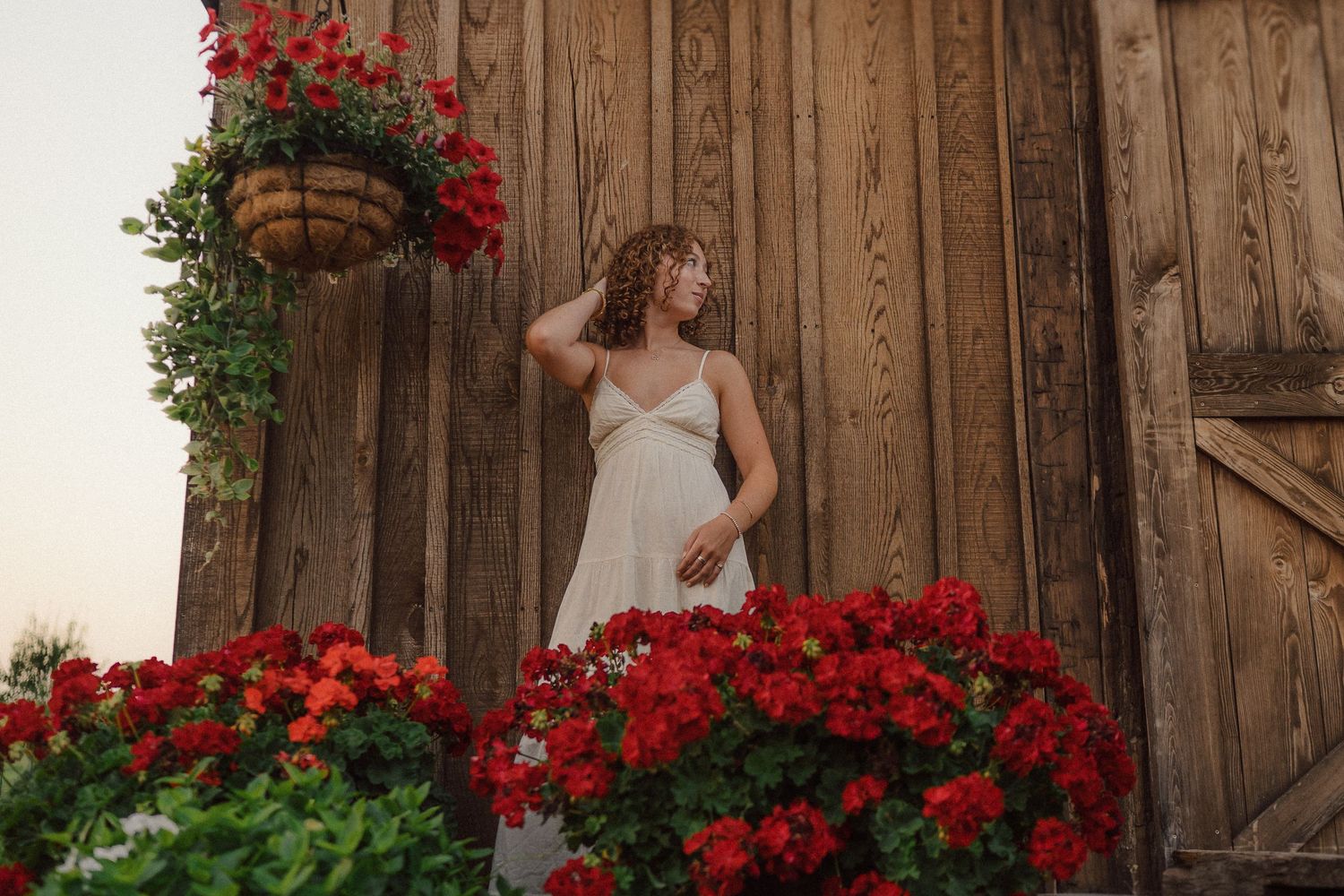 Person in a white dress stands near rustic wooden wall with vibrant red geraniums and hanging flower baskets.