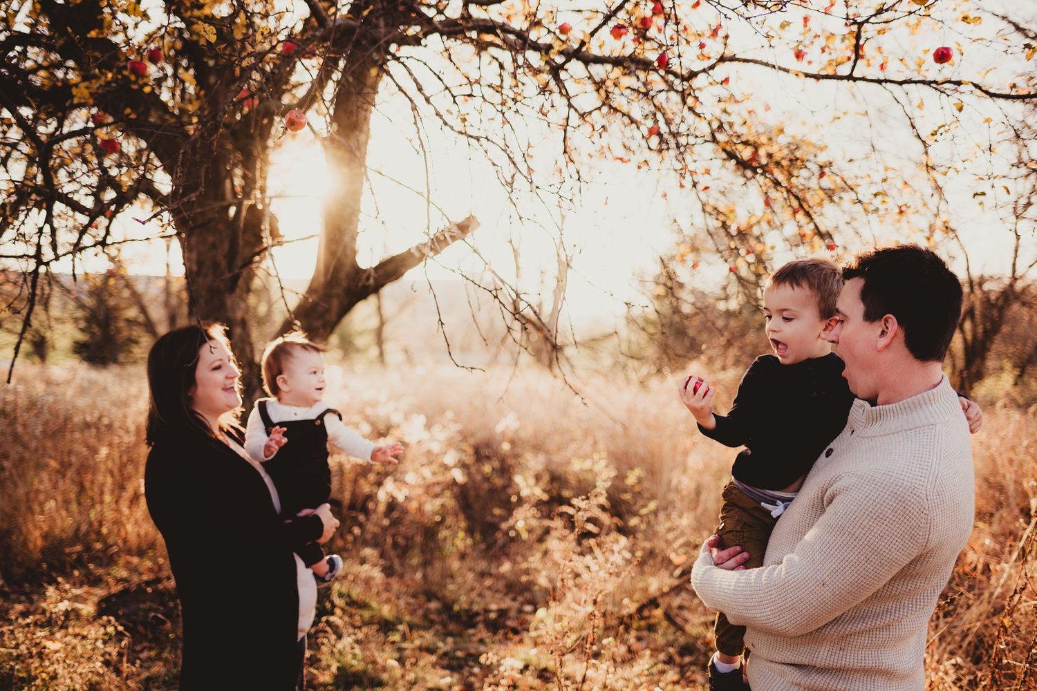 Family enjoying a playful moment together in front of a sunlit tree.