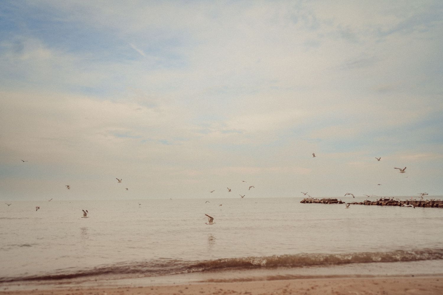 Seabirds flying over calm ocean waters on cloudy day.