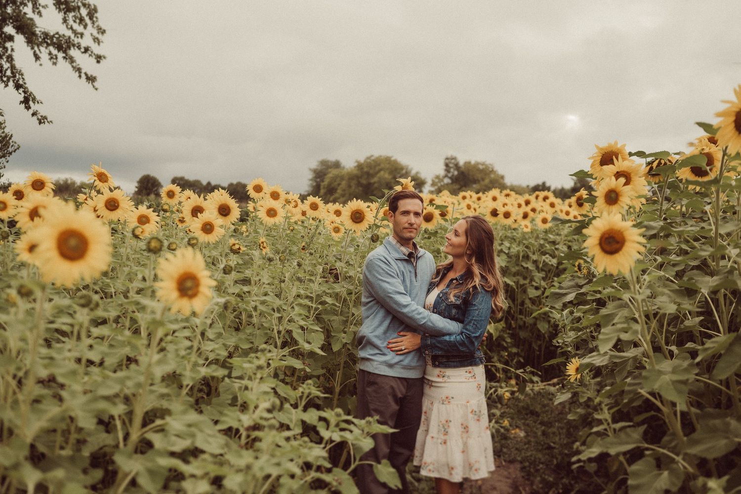 A couple shares an intimate moment surrounded by towering sunflowers in a golden field at sunset.