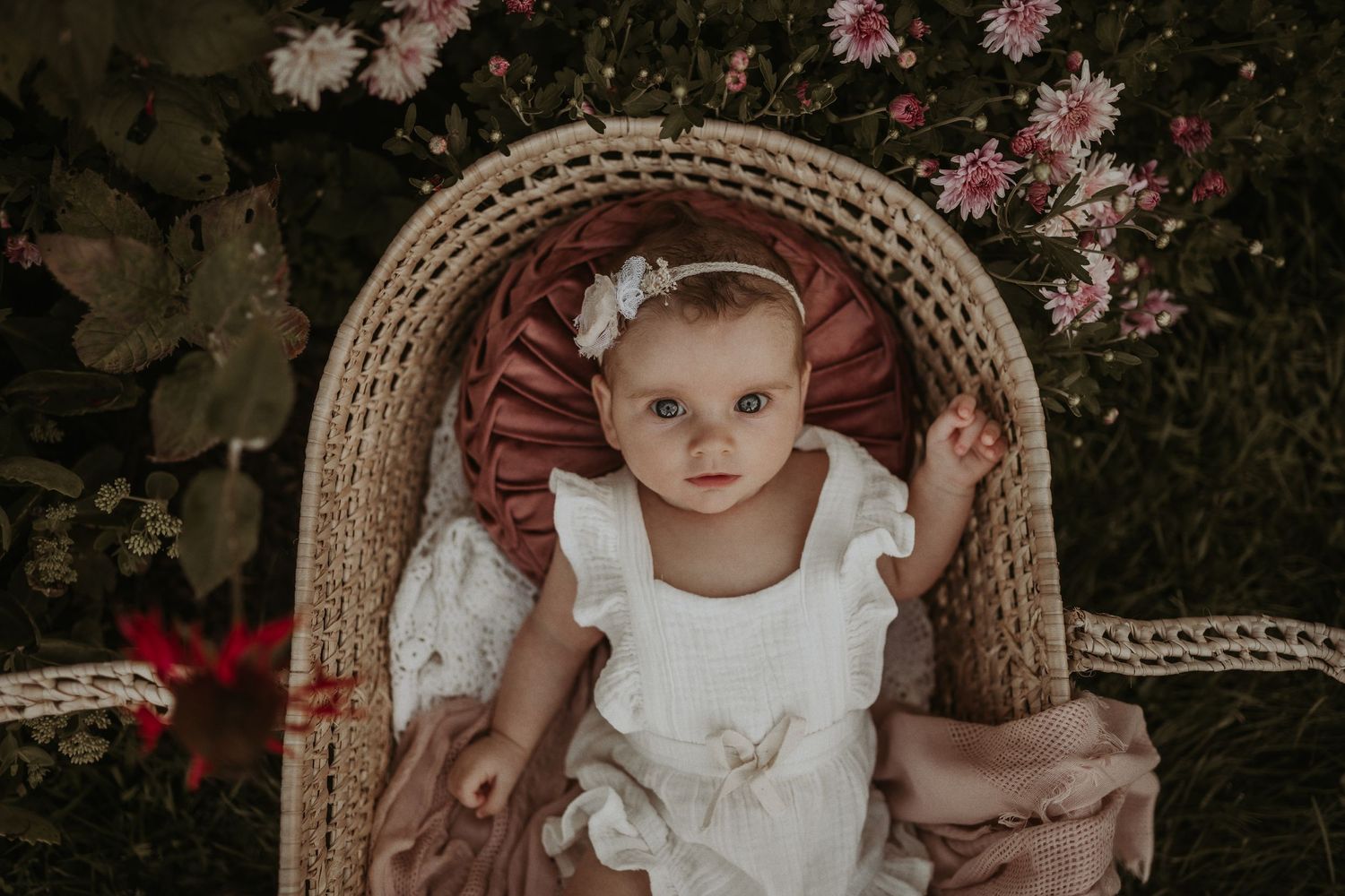 Infant wearing white dress sits in woven Moses basket surrounded by pink flowers in garden setting.