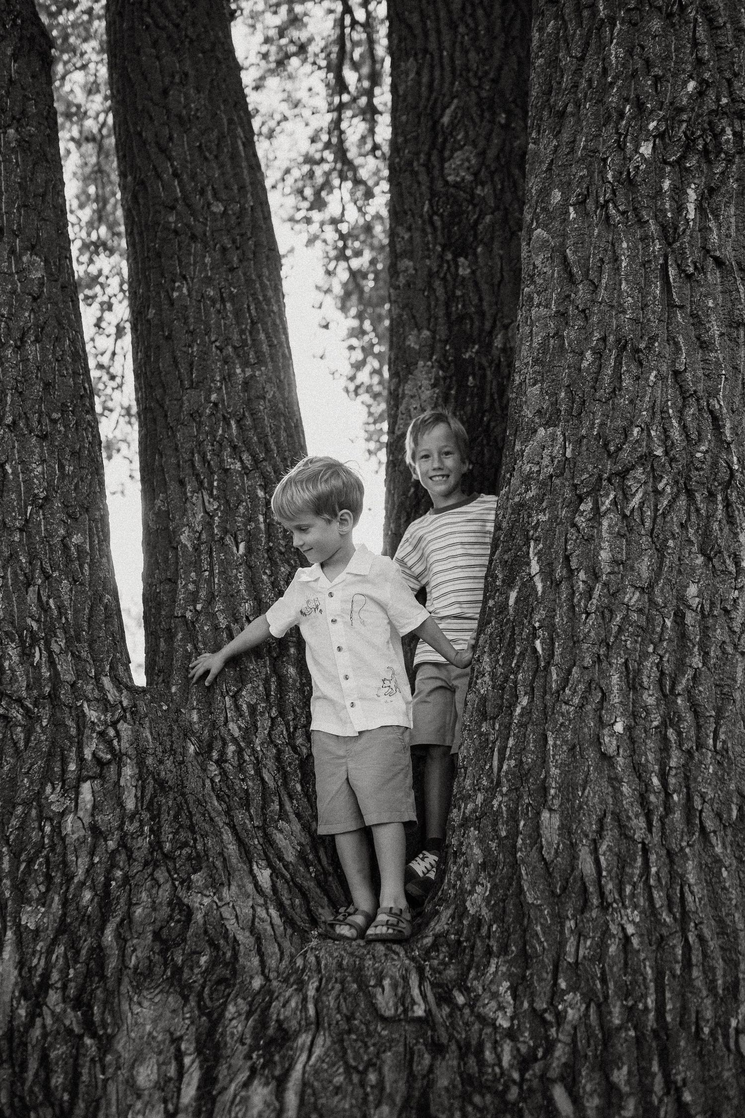 Two young boys standing between large tree trunks in a black and white outdoor portrait.