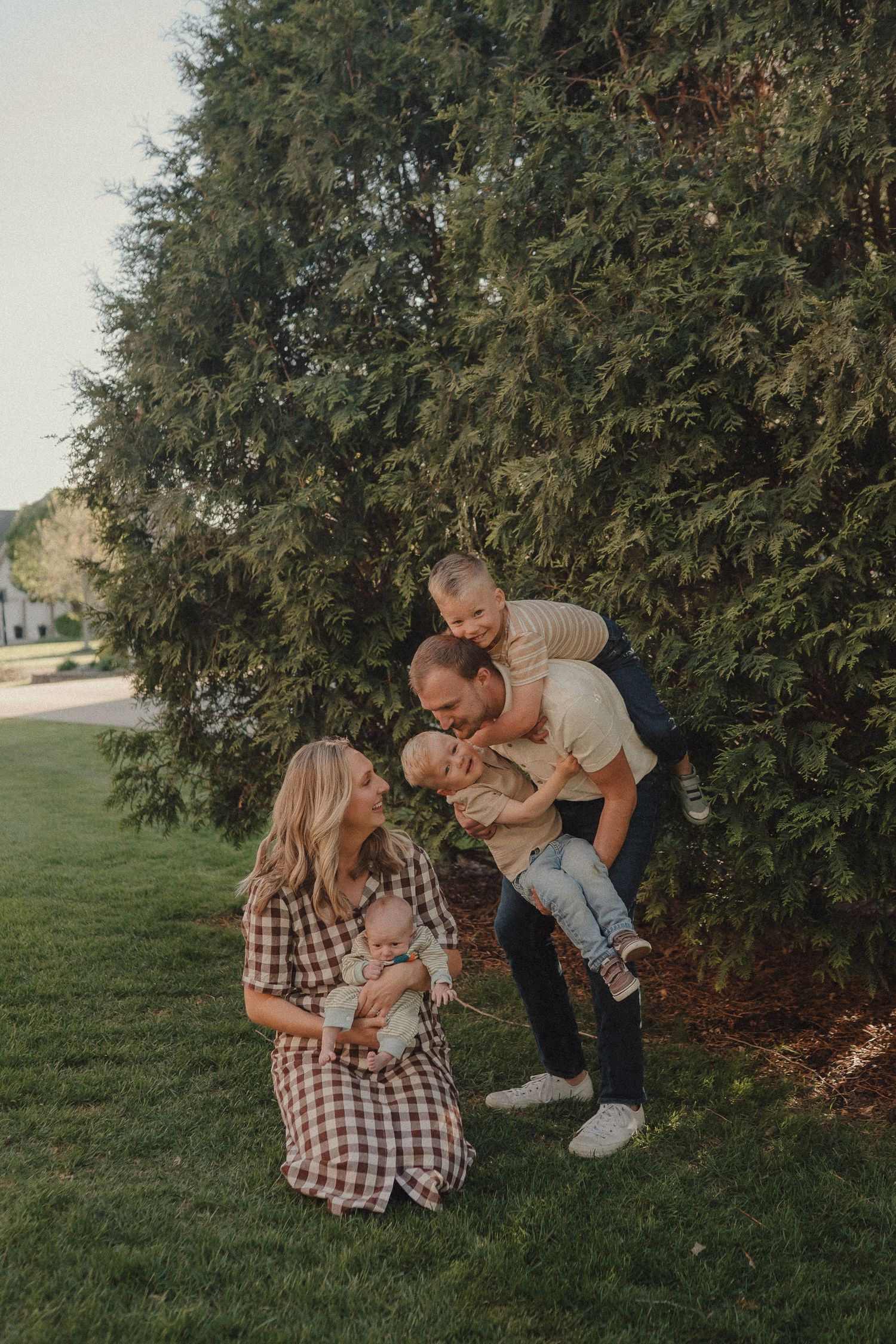 Happy family of four with a newborn baby playing together on green grass near tall evergreen trees.