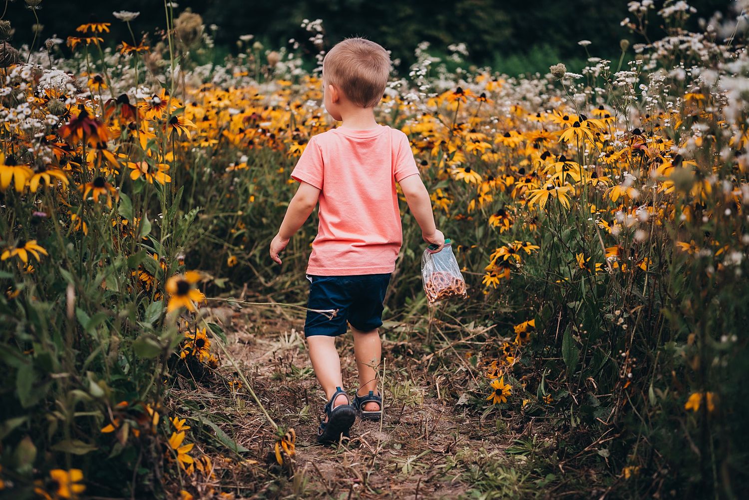 A child in coral shirt and shorts walks through a path surrounded by wildflowers.