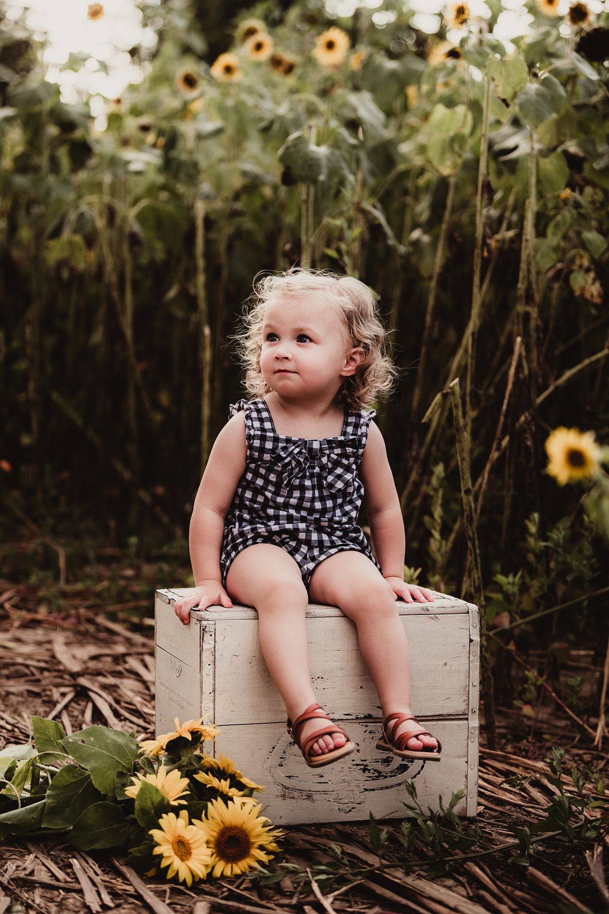 A small child in polka dot romper sits on vintage crate surrounded by sunflowers.