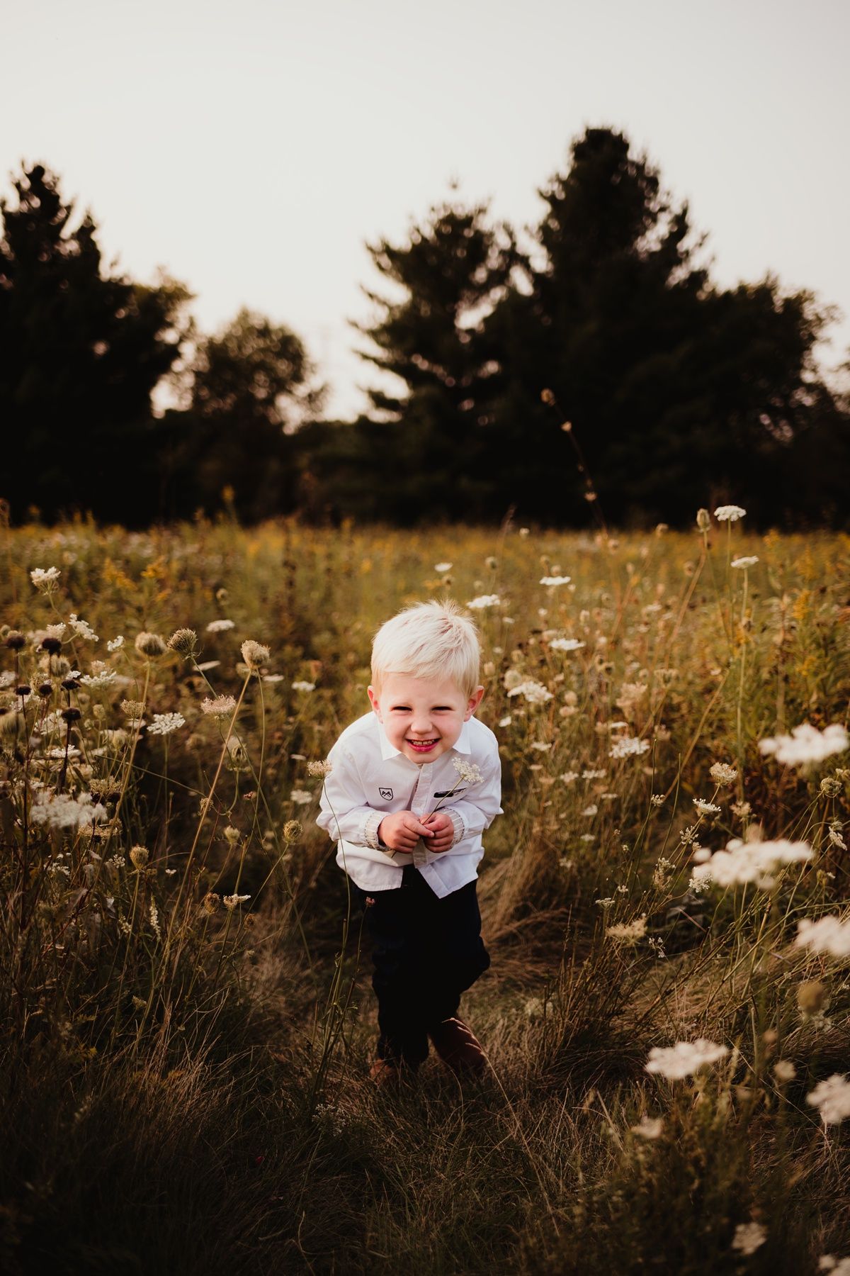 Child playing in a golden wildflower field at sunset with pine trees in background.