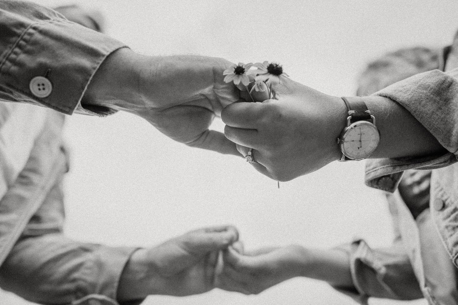 Black and white close-up of hands exchanging small flowers.