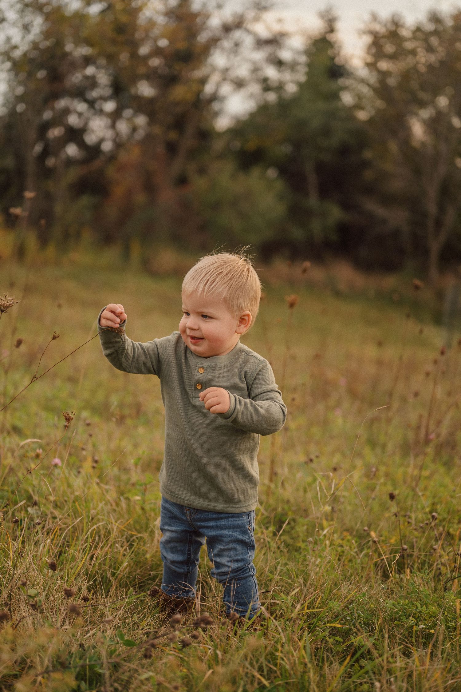 A sequence of photos shows a child playing and dancing in a grassy field during golden hour.