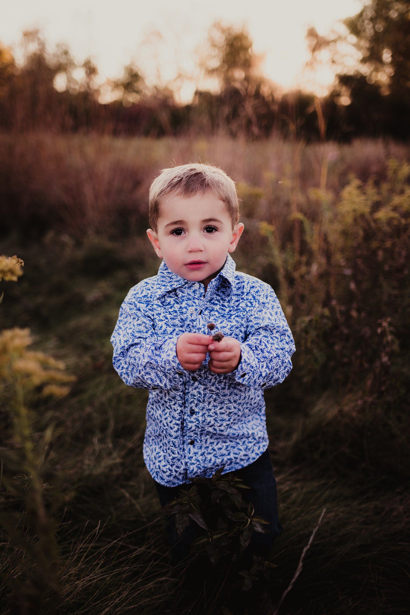 A small child in a patterned blue shirt standing in a field at sunset.
