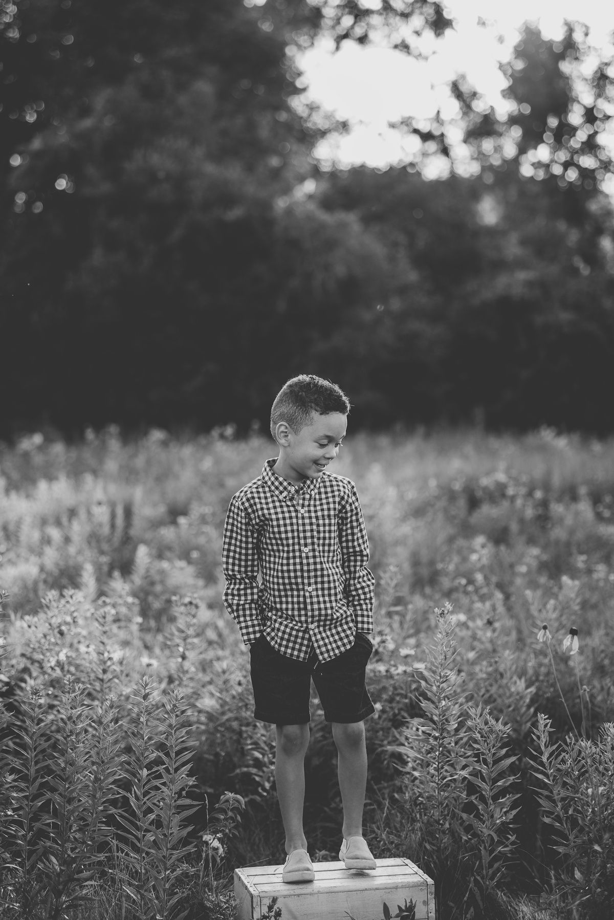 Black and white photo of child standing on wooden box in flowering meadow wearing gingham shirt.