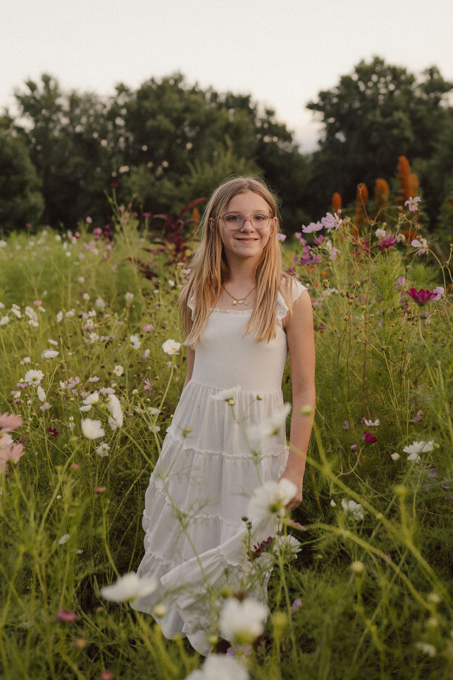 Among cosmos flowers and wild greenery, a dreamy scene unfolds in a meadow on a warm summer evening.