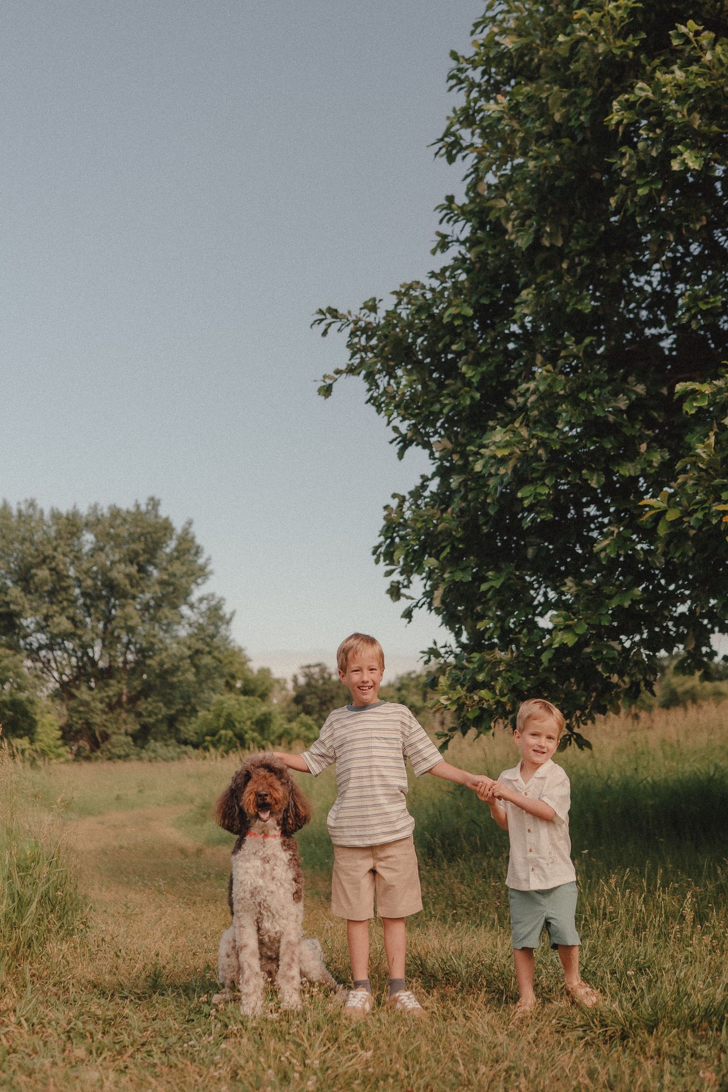 Two young boys holding hands with a brown and white spaniel dog in a green field near trees.
