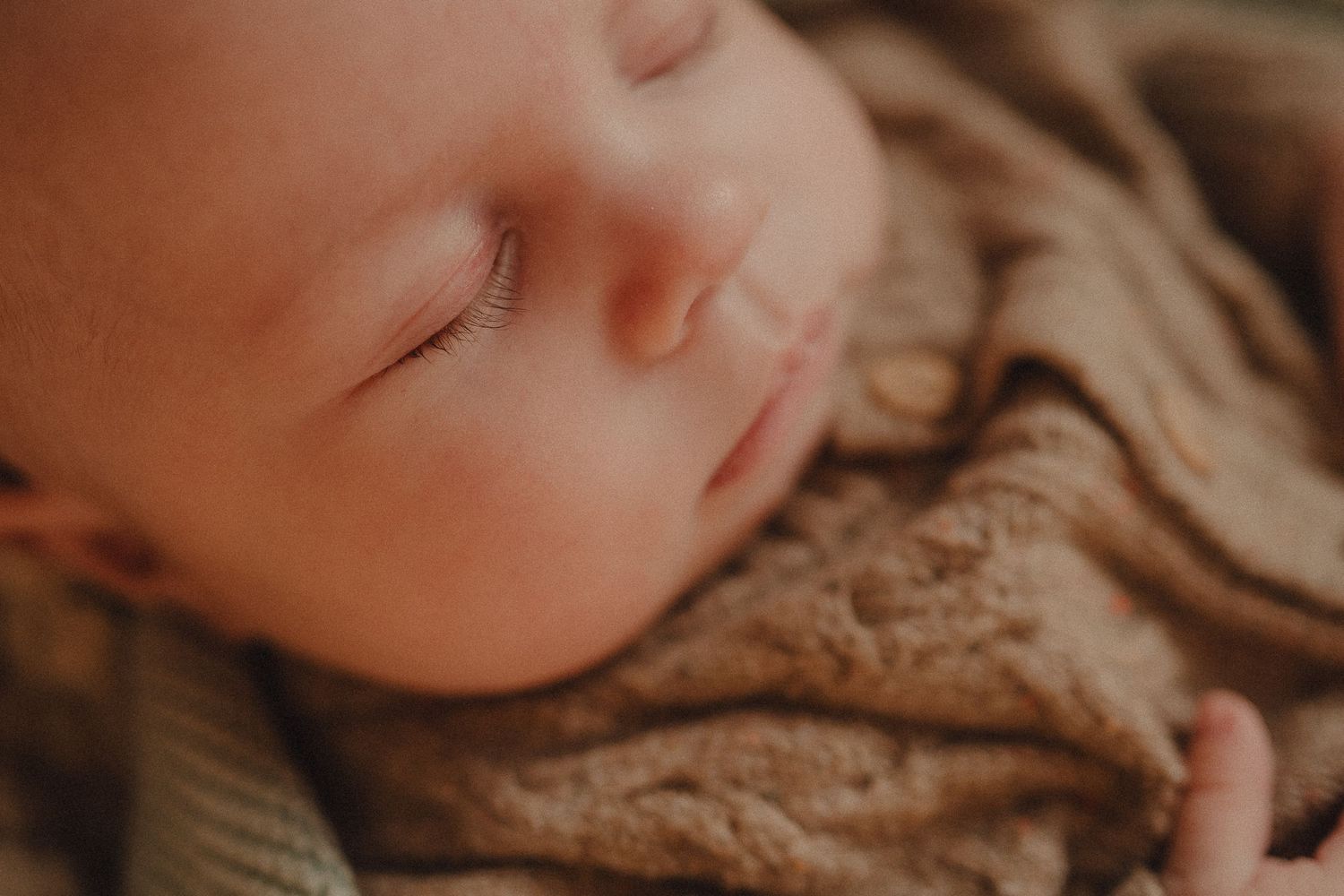 Extreme close-up series showing delicate details in warm tones.