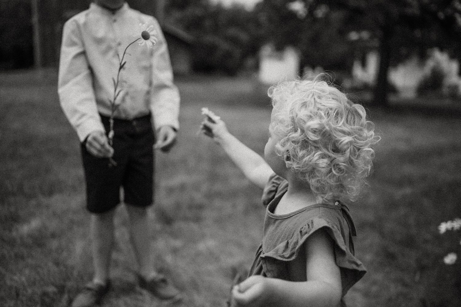 A black and white photo of a child reaching toward blooming flowers in a garden.