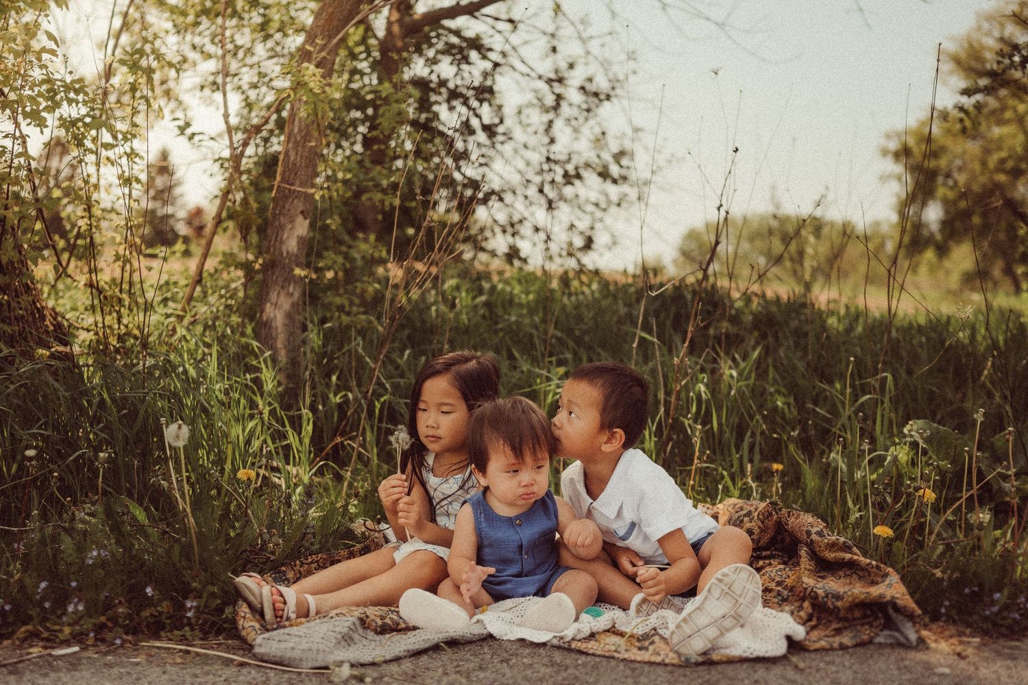 A family picnic scene with blanket spread out under trees on a sunny afternoon.