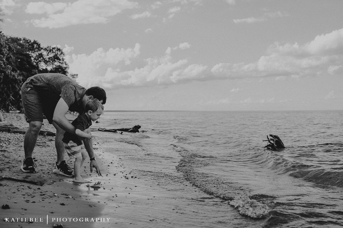 A playful beach scene with a dog swimming in the ocean.