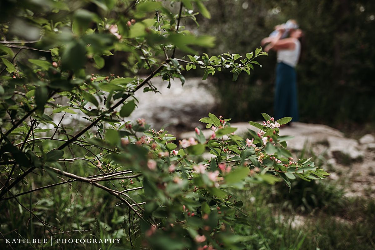 Spring garden scene with tree branches and blurred figure in background.