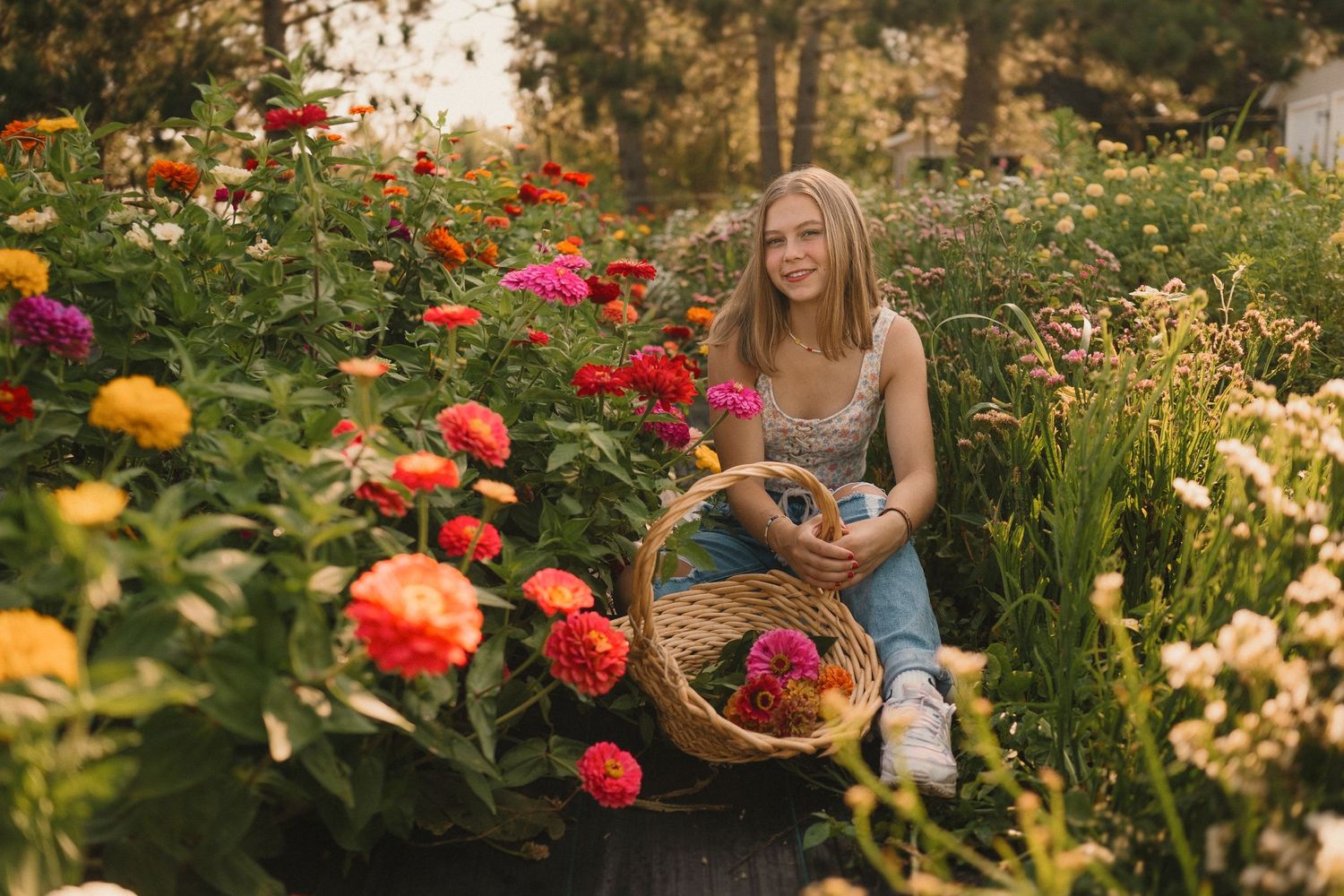 Summer garden scene with flowers and someone gathering blooms into a woven basket at sunset.
