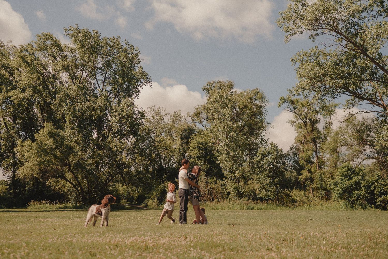 Family with two dogs playing in a sunny green meadow surrounded by tall trees on a beautiful day.