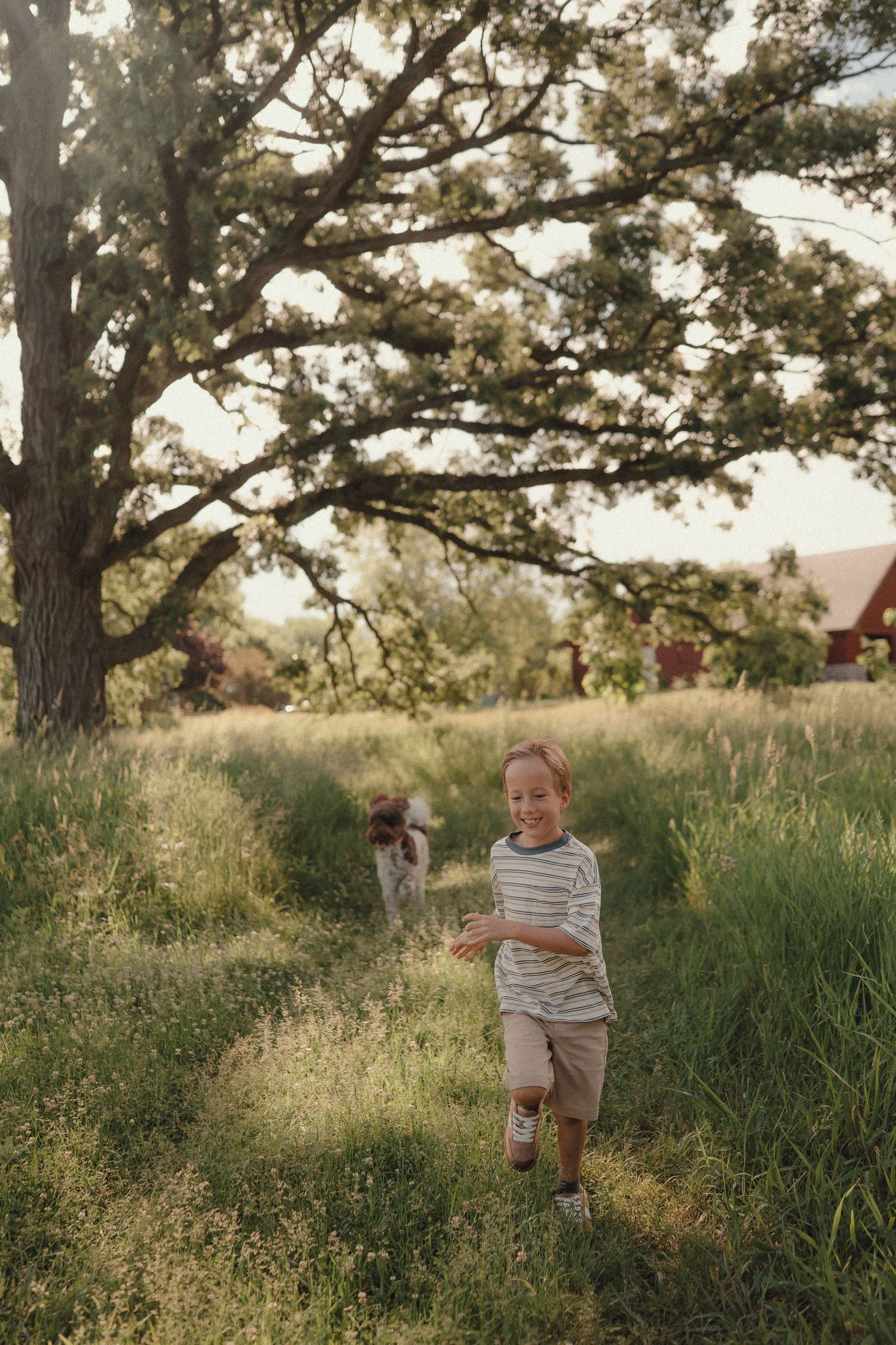 A smiling boy runs through a sunlit grassy field with a dog following behind near a large oak tree.