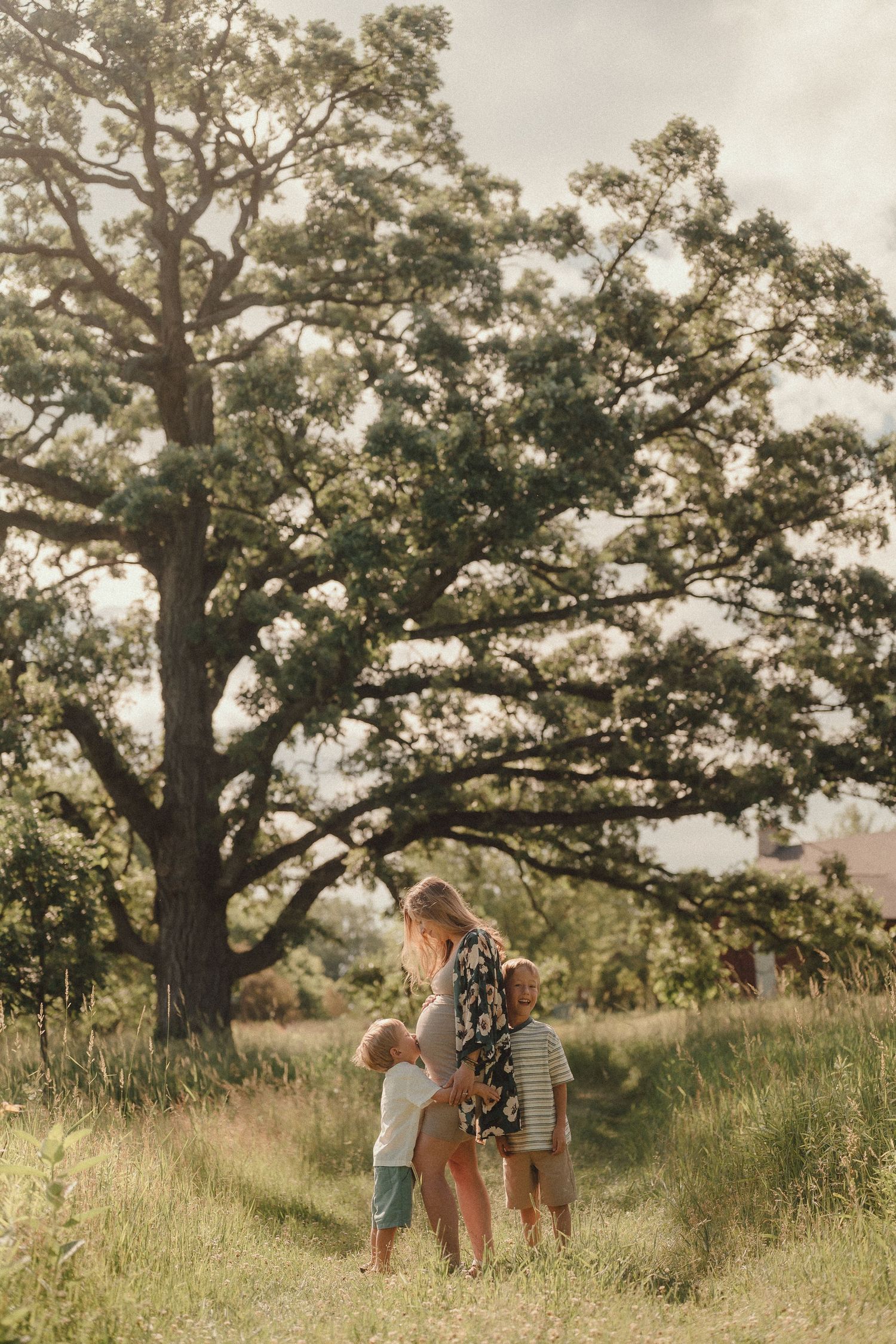 Pregnant mother with two young children standing together in a sunlit grassy field near a large tree.