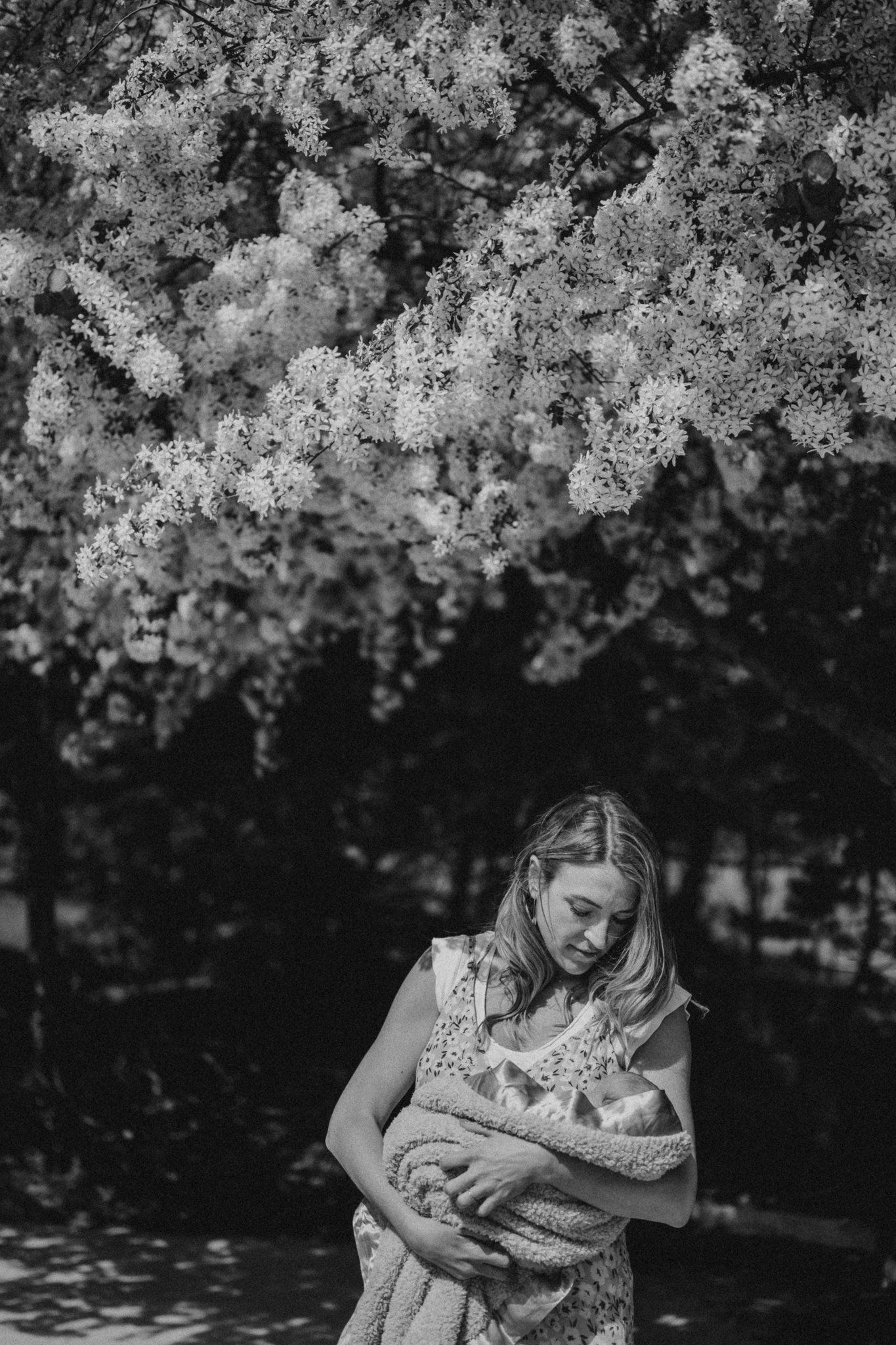 Under blossoming cherry trees, a person holds and gazes lovingly at an infant.