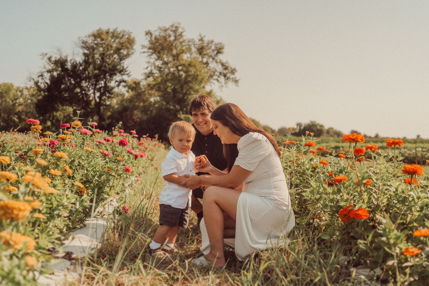 A sweet family interaction in a wildflower field at golden hour.