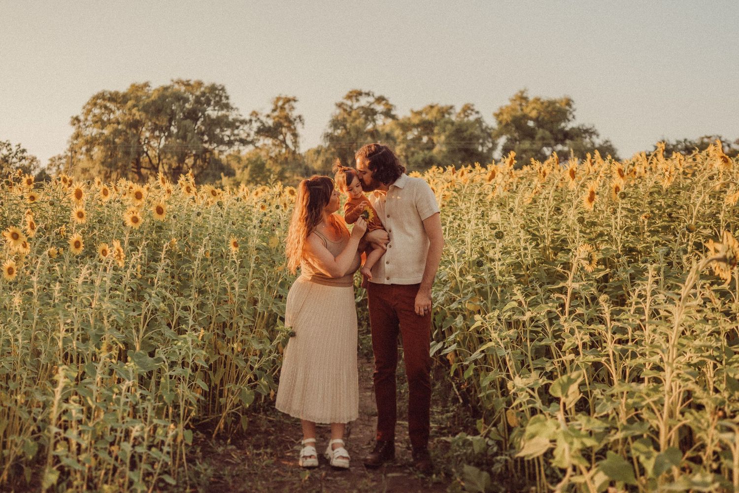 Intimate couple portrait surrounded by tall sunflowers at sunset.