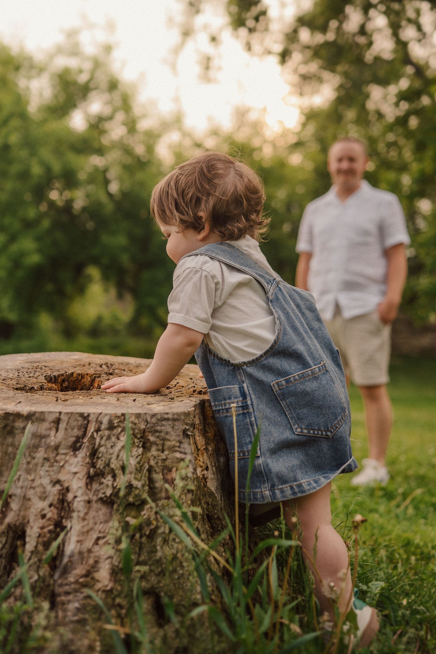 A child in denim overalls explores a tree stump while someone watches from behind in a sunlit garden.