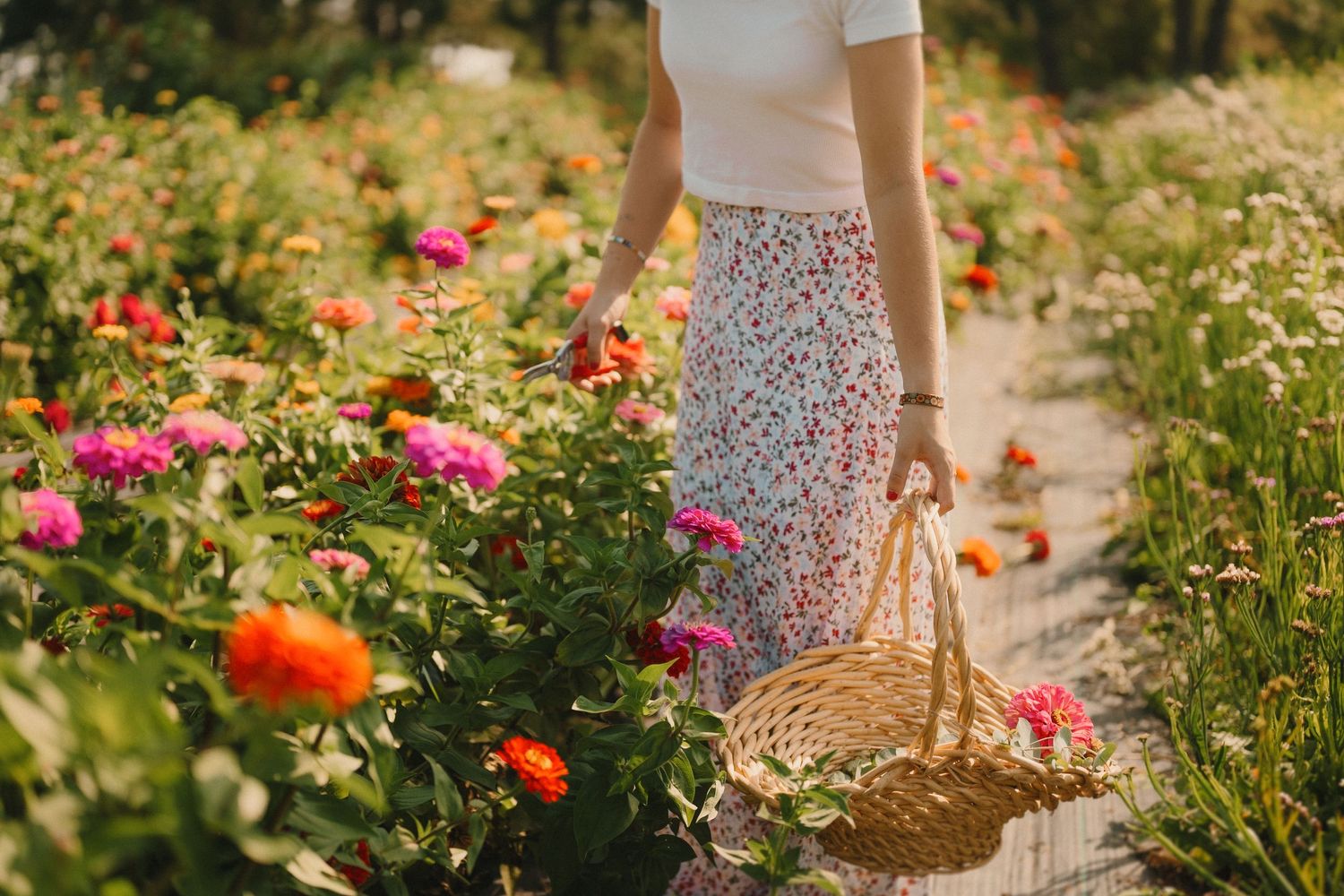 A straw basket being carried through a colorful garden path lined with pink and orange blooming flowers.