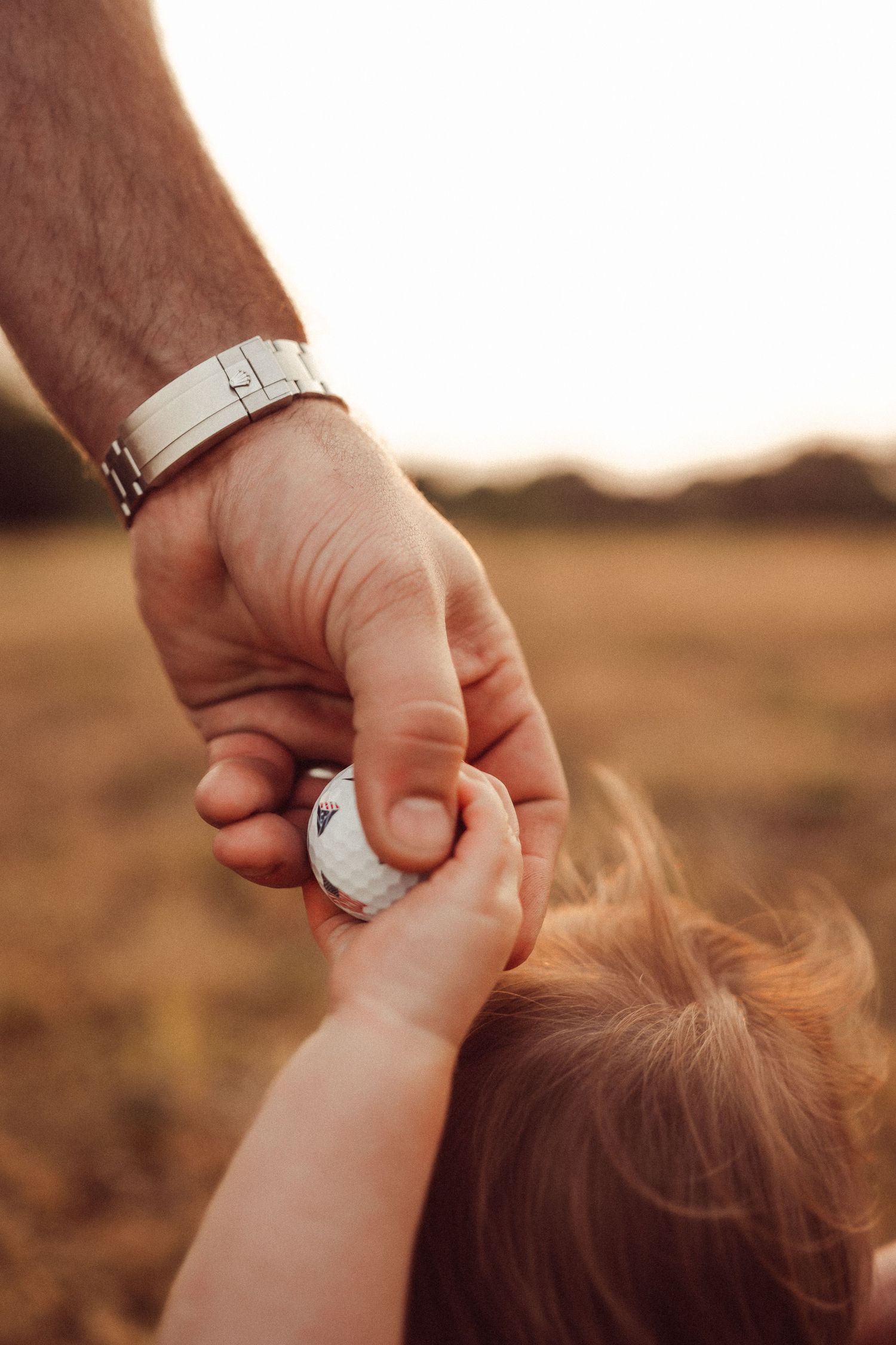 A close-up of hands holding together in a golden field at sunset.