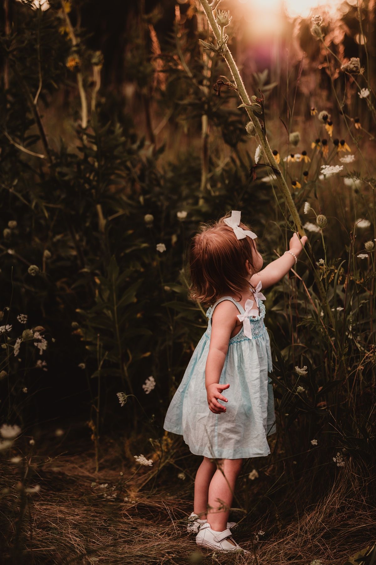 Small child in blue dress reaches up to touch wildflowers in golden sunset light.