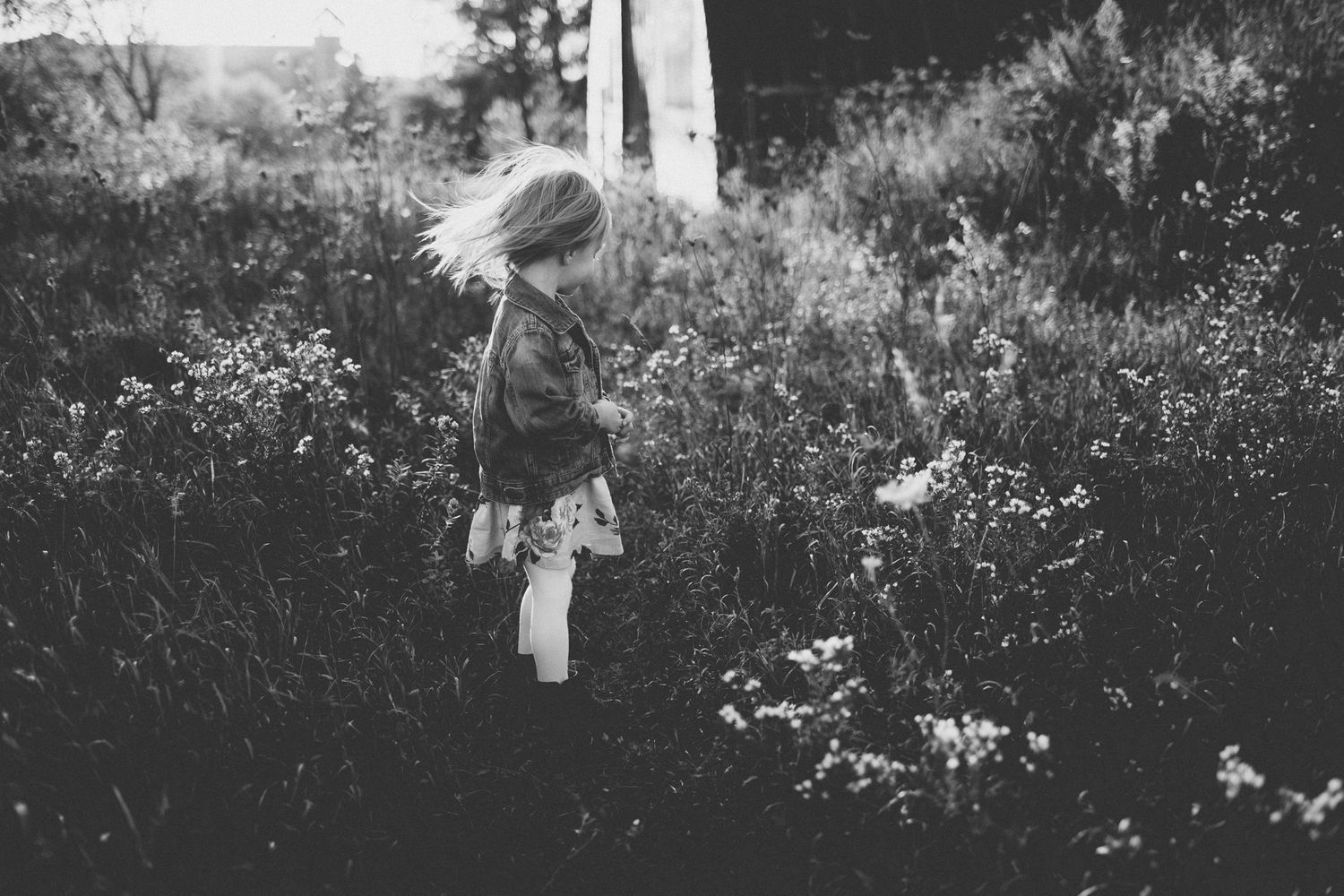 A child explores a wildflower meadow in a black and white photograph.