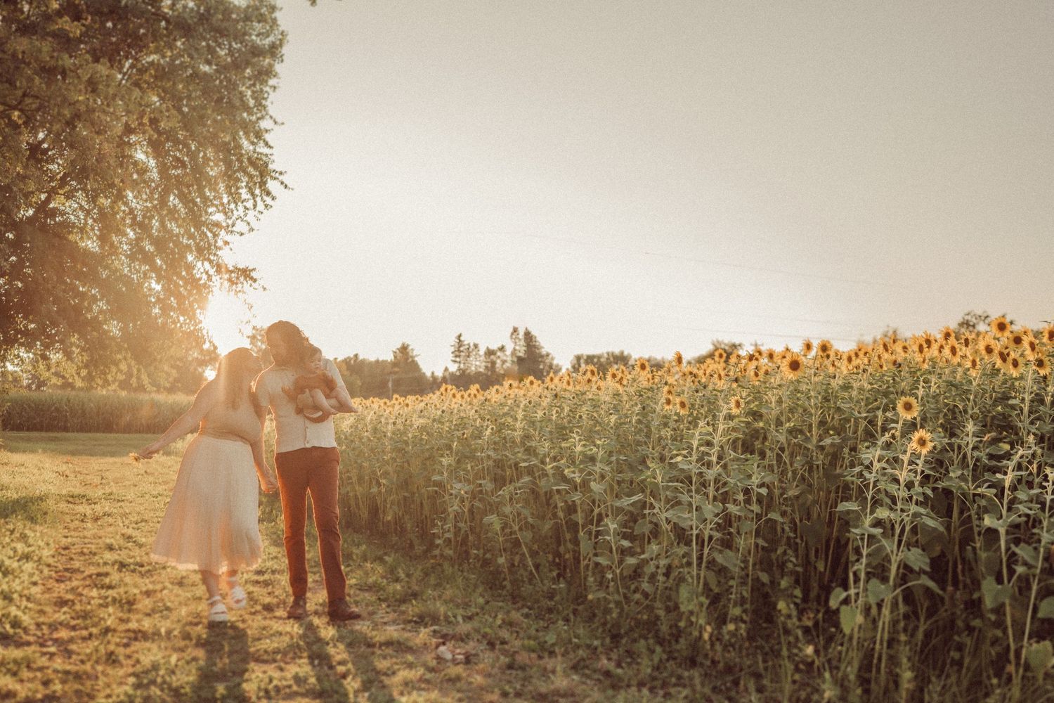 Couple walking hand in hand beside a sunflower field at golden hour.