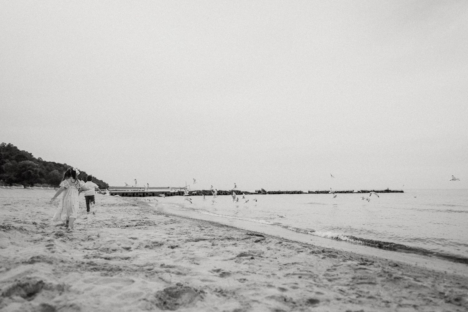 Black and white photograph of beach landscape with jetty extending into water.