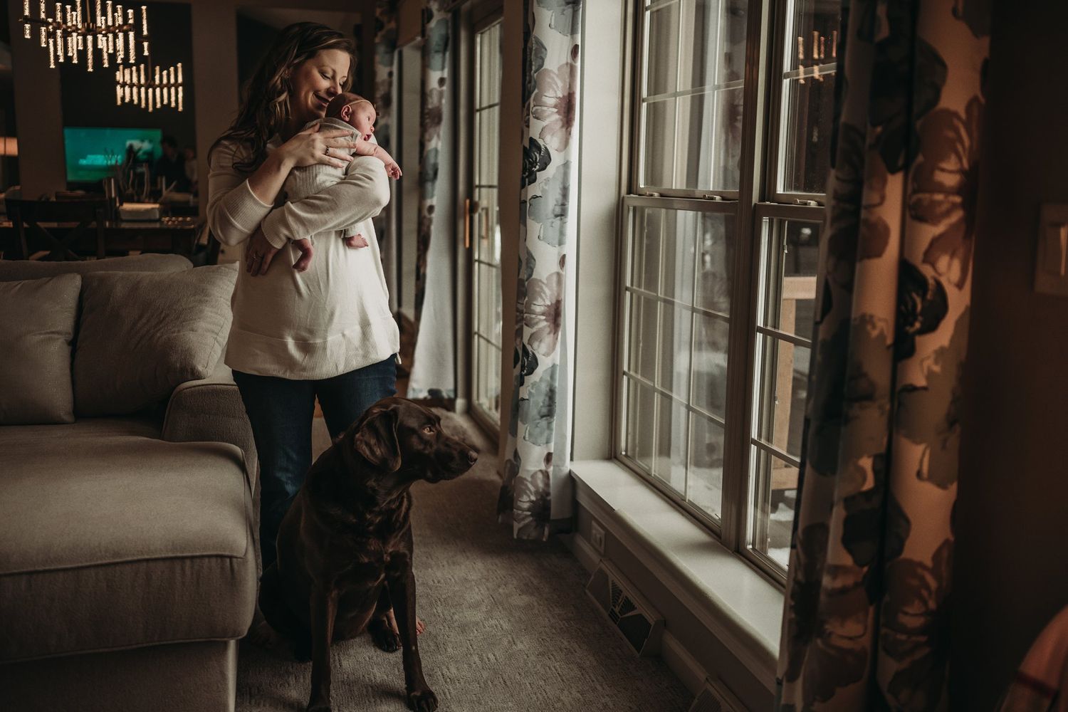 A chocolate labrador stands by a window while someone in a beige coat holds a baby in a cozy living room.